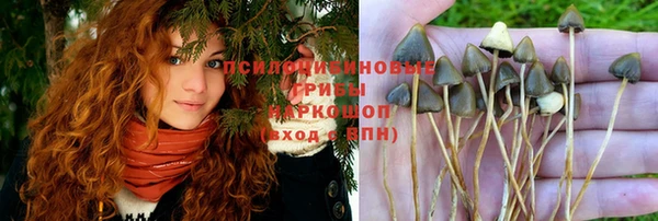 наркотики Богданович