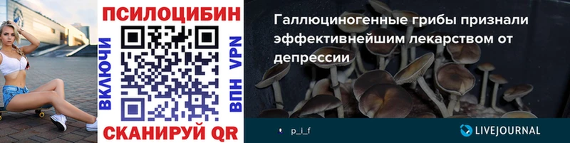 Псилоцибиновые грибы мухоморы  как найти   Буйнакск 